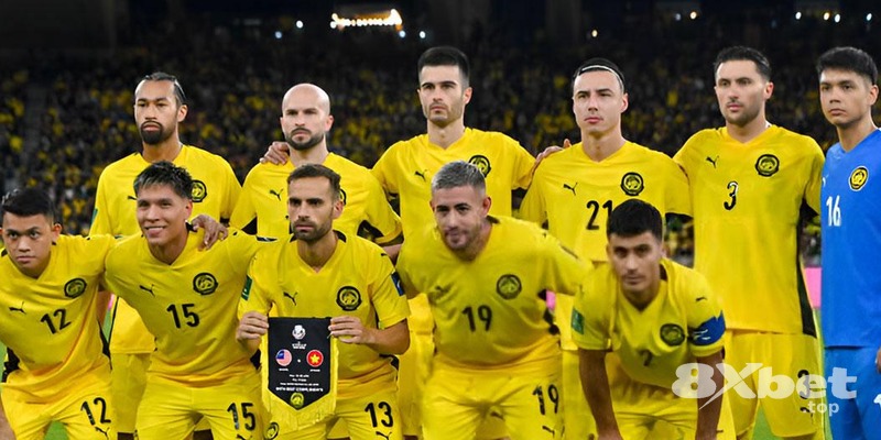 8xbet - one88 cá cược bóng đá